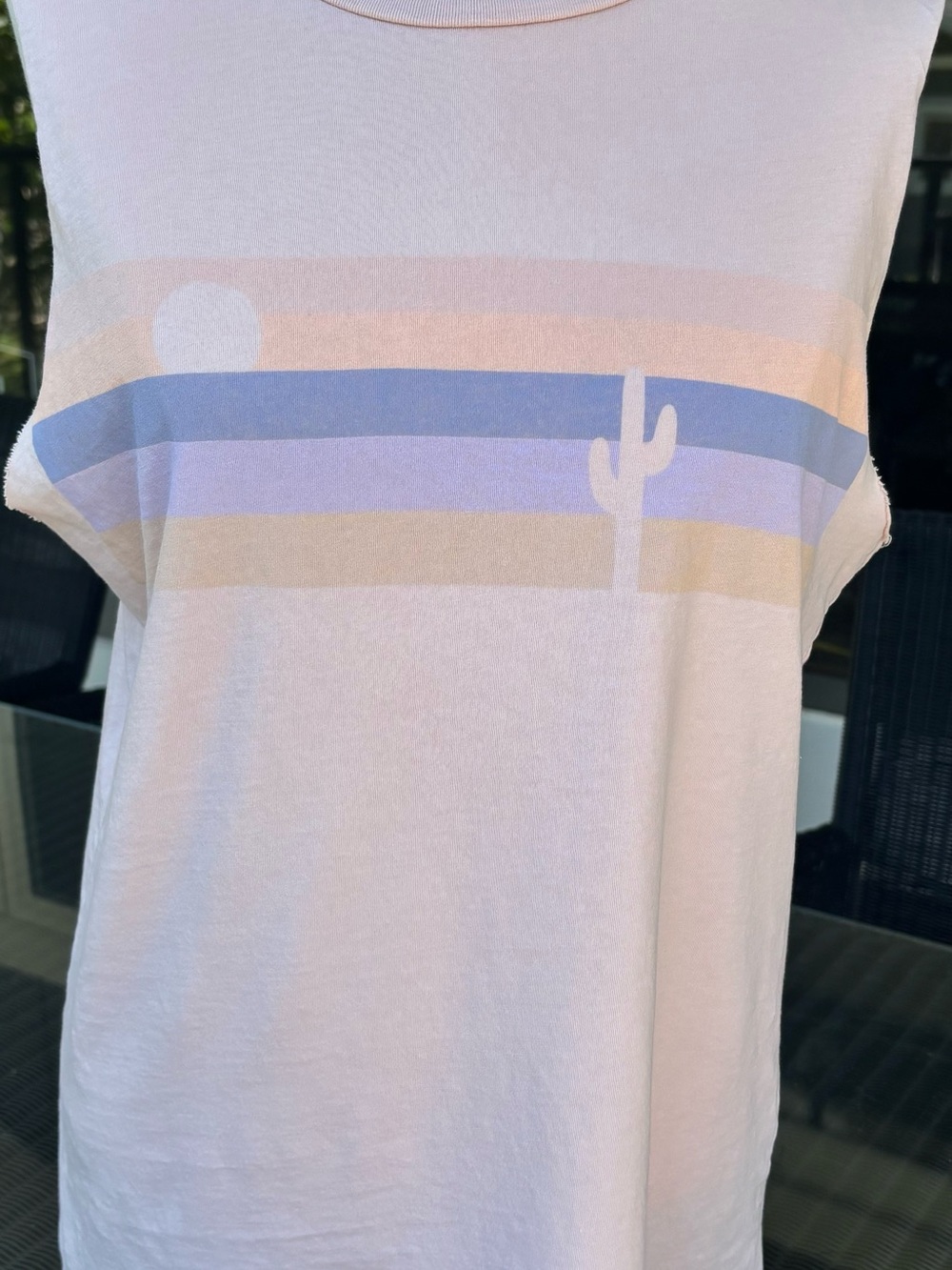 Free People Sleeveless Desert Stripe Cotton Tank Top with Cactus Graphic - Pink